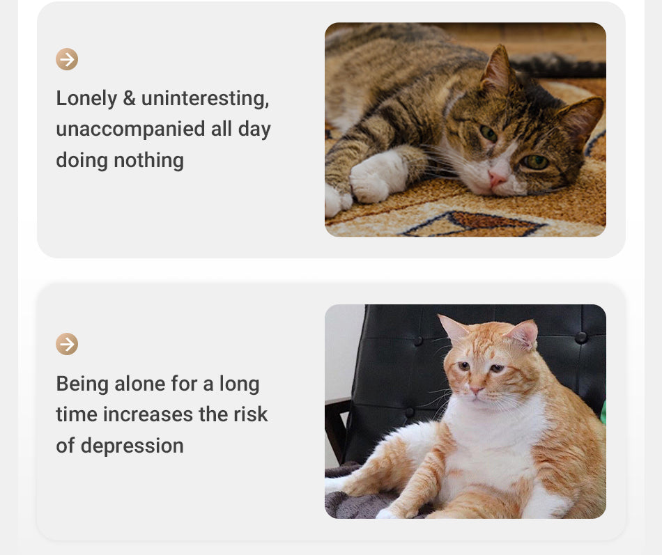 ROJECO Interactive Laser Cat Toy: The Ultimate Automatic Playmate for Your Cat