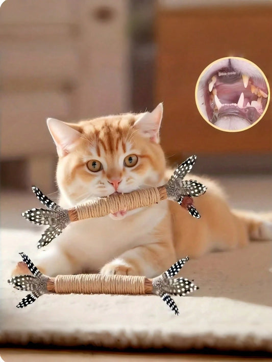Handmade Cat Chew Toy Set | Natural Dental & Interactive Cat Toys (Set of 3 pieces)