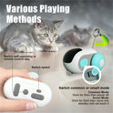 USB Rechargeable Remote Control Mouse Cat Toy with Feather Wand | Interactive Cat Toy