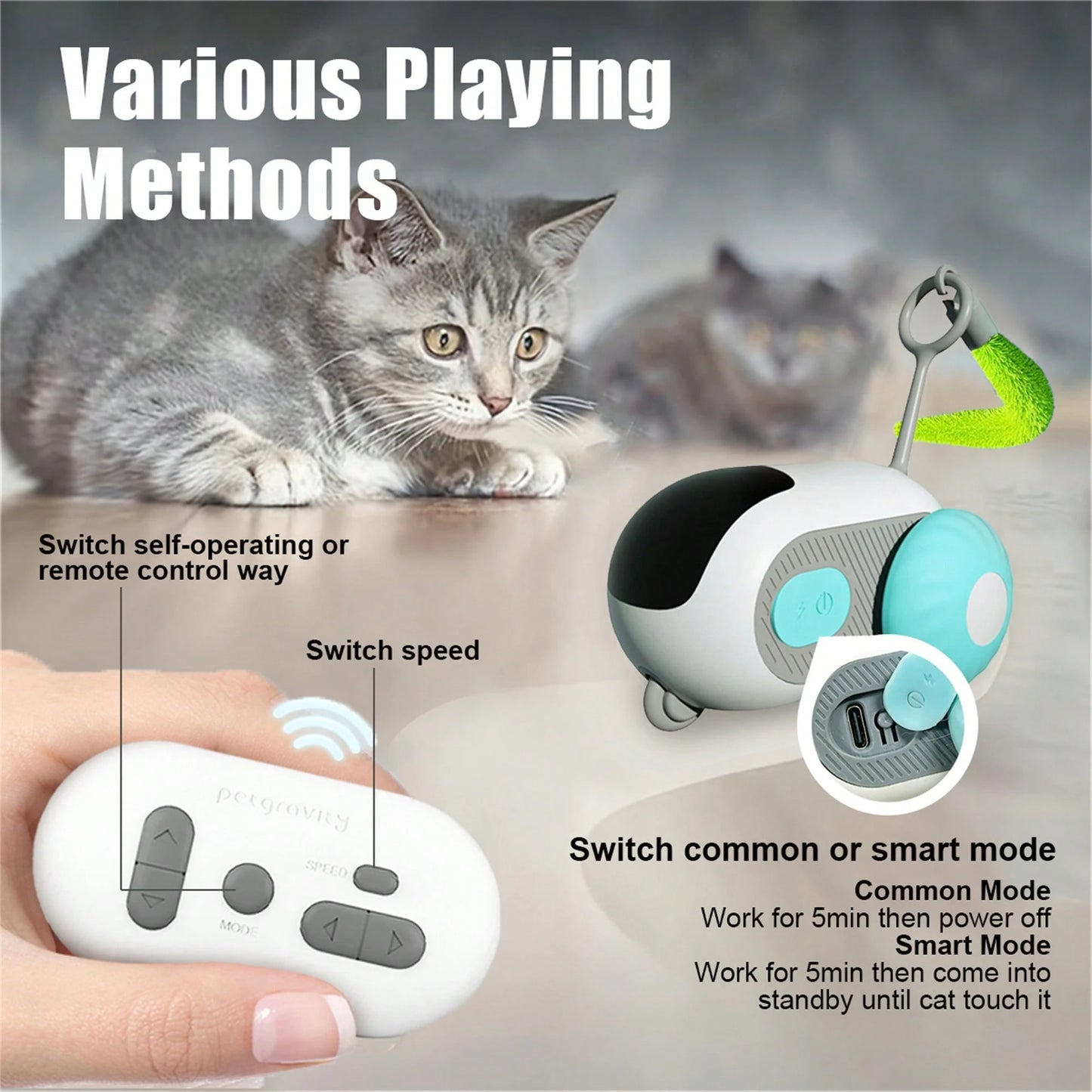 USB Rechargeable Remote Control Mouse Cat Toy with Feather Wand | Interactive Cat Toy