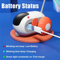 USB Rechargeable Remote Control Mouse Cat Toy with Feather Wand | Interactive Cat Toy