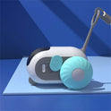 USB Rechargeable Remote Control Mouse Cat Toy with Feather Wand | Interactive Cat Toy