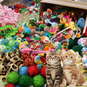 Cat Toy Variety Pack | 48 PCS Interactive Cat Toy Set