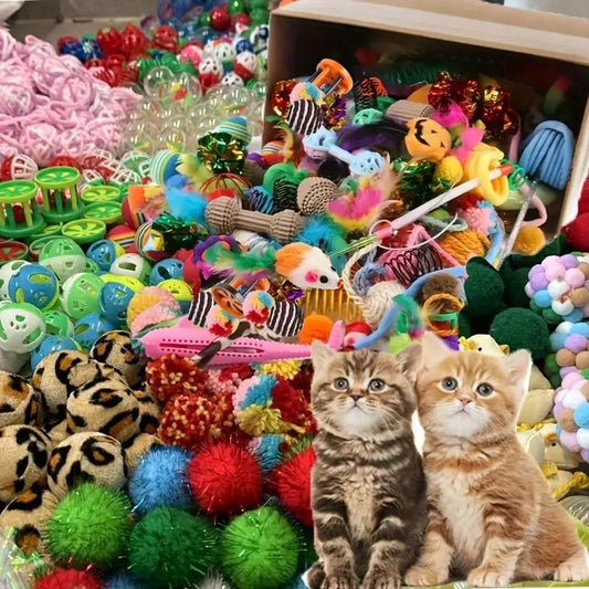 Cat Toy Variety Pack | Interactive Cat Toy Set