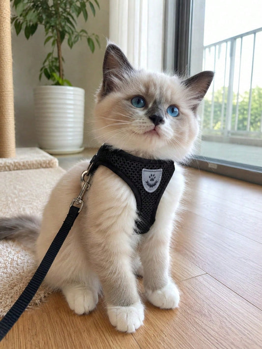 Breathable No-Pull Pet Harness | Adjustable Dog & Cat Vest
