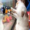 Interactive Cat Toy with Ball | Automatic Cat Toy for Indoor Cats