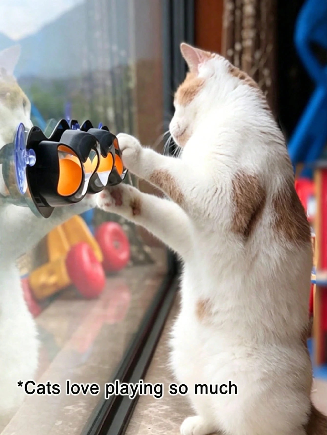 Interactive Cat Toy with Ball | Automatic Cat Toy for Indoor Cats