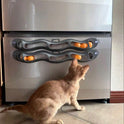 Interactive Cat Toy with Ball | Automatic Cat Toy for Indoor Cats