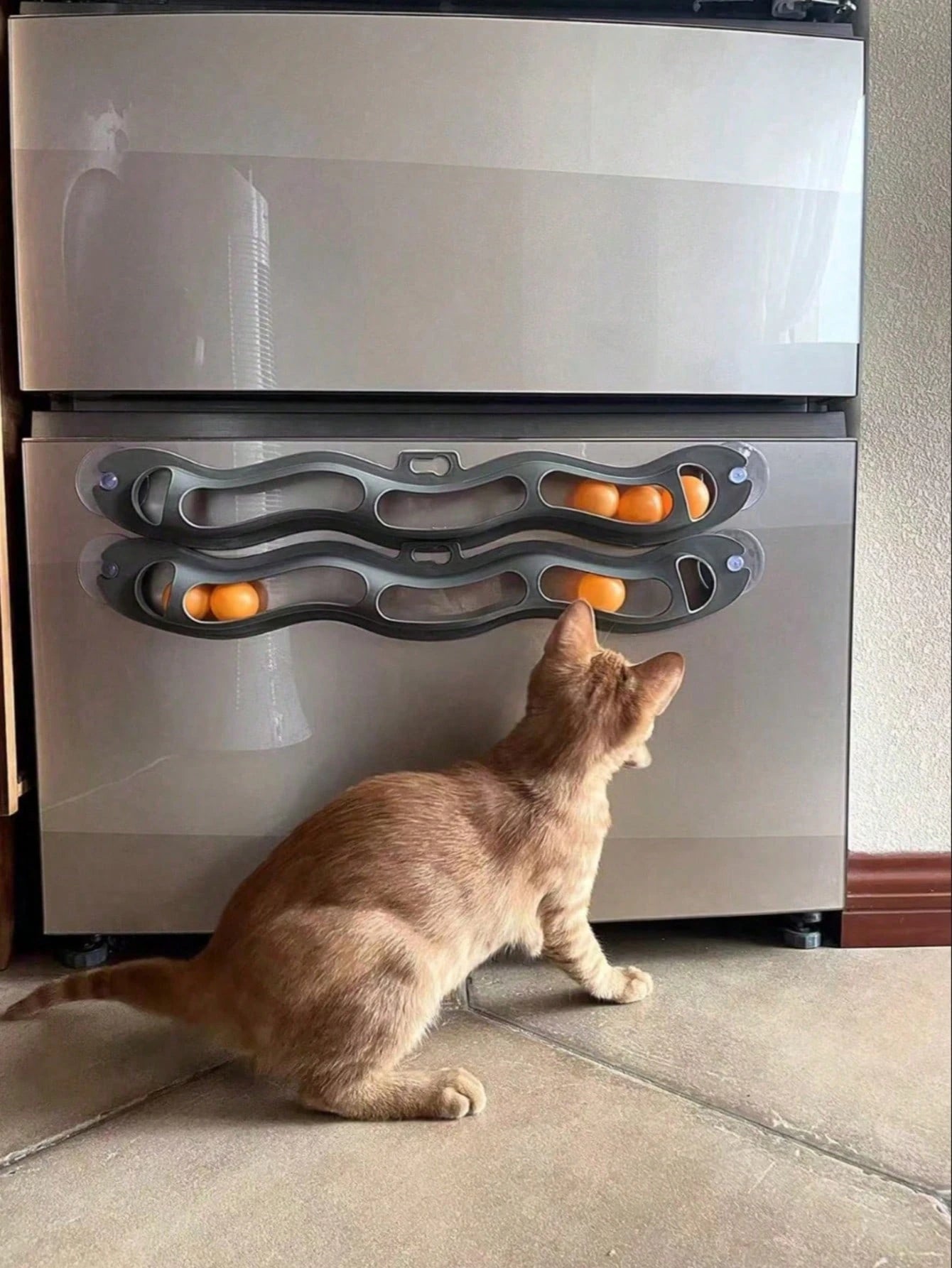 Interactive Cat Toy with Ball | Automatic Cat Toy for Indoor Cats