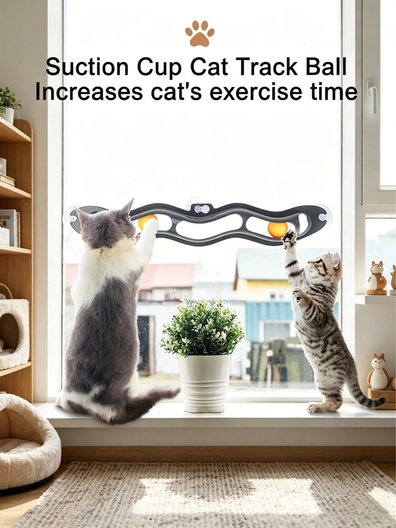 Interactive Cat Toy with Ball | Automatic Cat Toy for Indoor Cats
