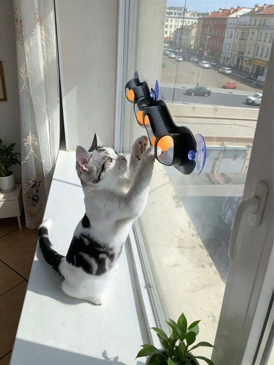 Interactive Cat Toy with Ball | Automatic Cat Toy for Indoor Cats