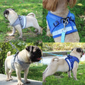Reflective Pet Harness & Leash Set with Bowl | Cat & Dog Walking Vest