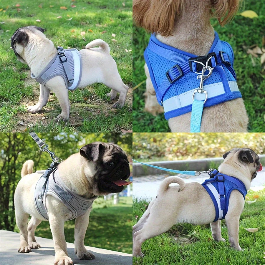 Reflective Pet Harness & Leash Set with Bowl | Cat & Dog Walking Vest