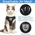 Reflective Pet Harness & Leash Set with Bowl | Cat & Dog Walking Vest