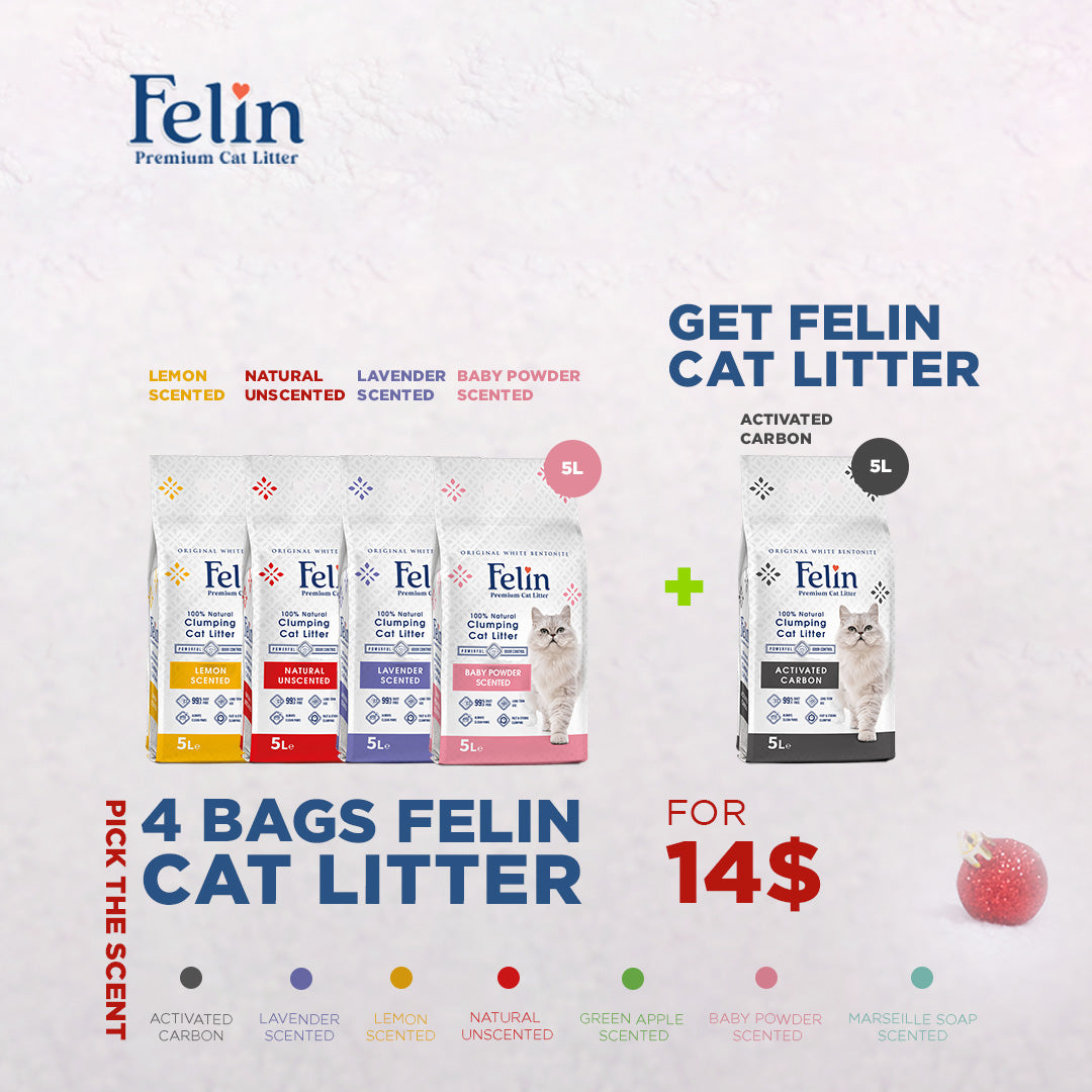 Felin 5L Offer