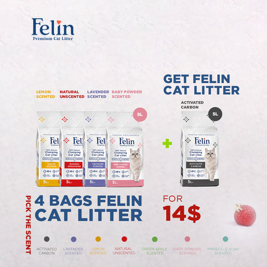 Felin 5L Offer