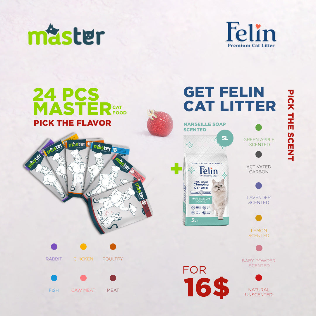 Master 24Pcs + Felin 5L Offer