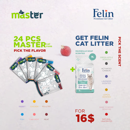 Master 24Pcs + Felin 5L Offer