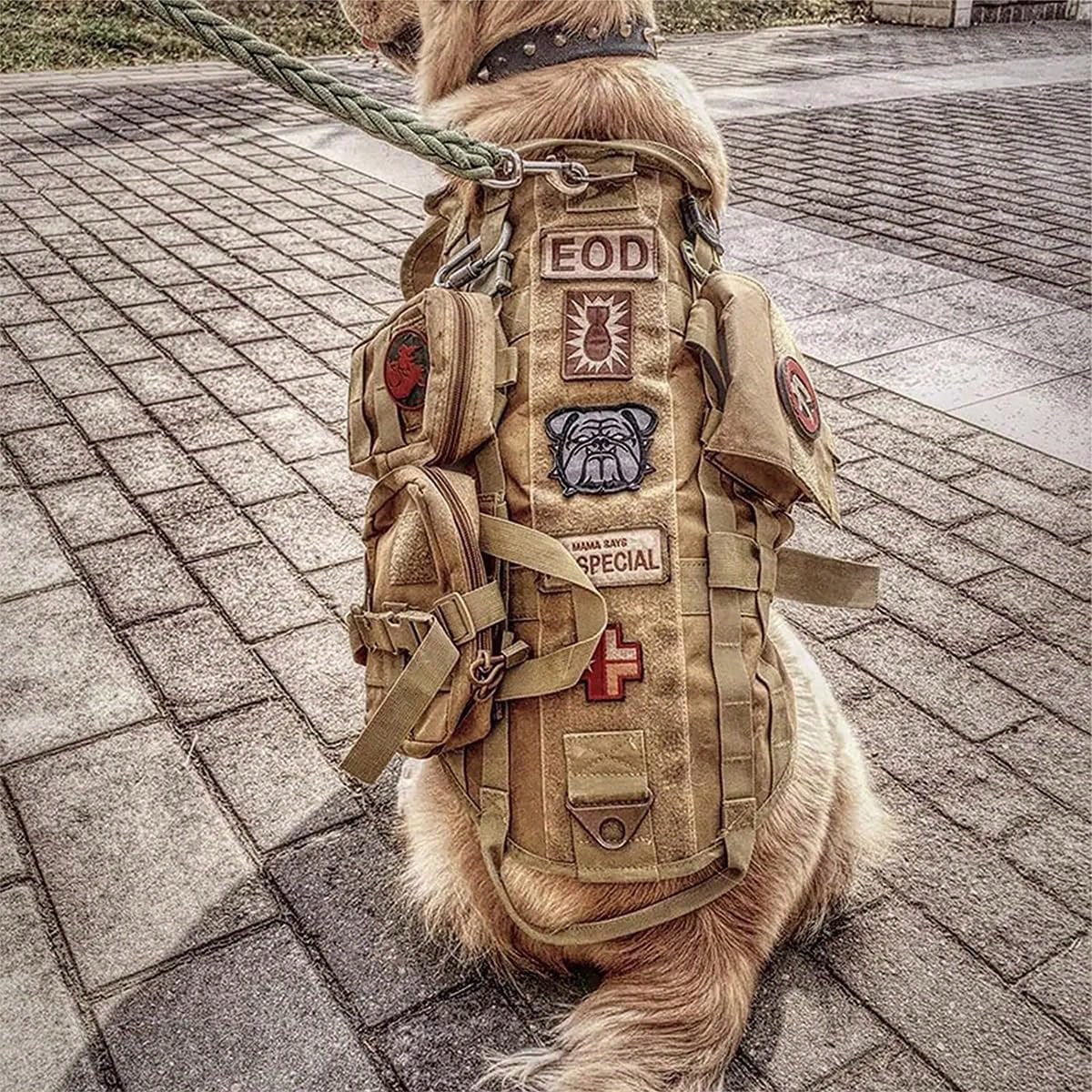 Tactical Dog Harness with Pockets – Adjustable No-Pull Vest