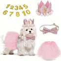 Dog Birthday Party Set with Crown Hat, Bow Tie & Tutu Skirt