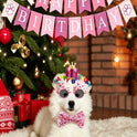 Pet Birthday Party Set – Dog Birthday Decorations & Photo Props
