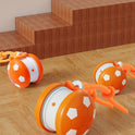 Interactive Automatic Dog Ball – Electric Rolling Toy (Without Leash)