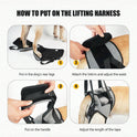 Dog Lift Harness – Rear Leg Support Sling for Elderly & Injured Dogs