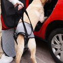 Dog Lift Harness – Rear Leg Support Sling for Elderly & Injured Dogs
