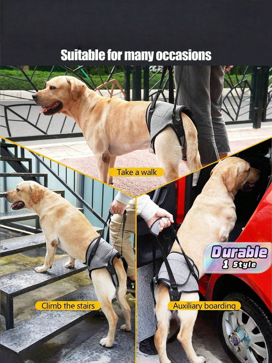 Dog Lift Harness – Rear Leg Support Sling for Elderly & Injured Dogs