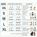 No-Pull Dog Harness – Reflective Padded Vest with 2 Leash Clips