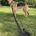 Long Dog Training Leash 3m–10m | Recall Lead for Outdoor Training