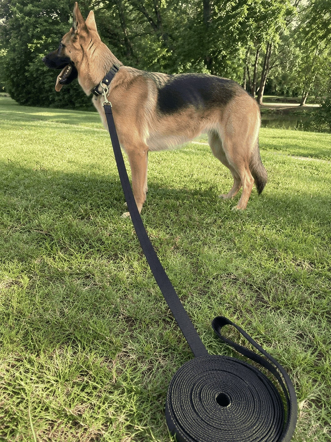 Long Dog Training Leash 3m–10m | Recall Lead for Outdoor Training
