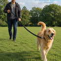 Long Dog Training Leash 3m–10m | Recall Lead for Outdoor Training