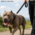 Long Dog Training Leash 3m–10m | Recall Lead for Outdoor Training