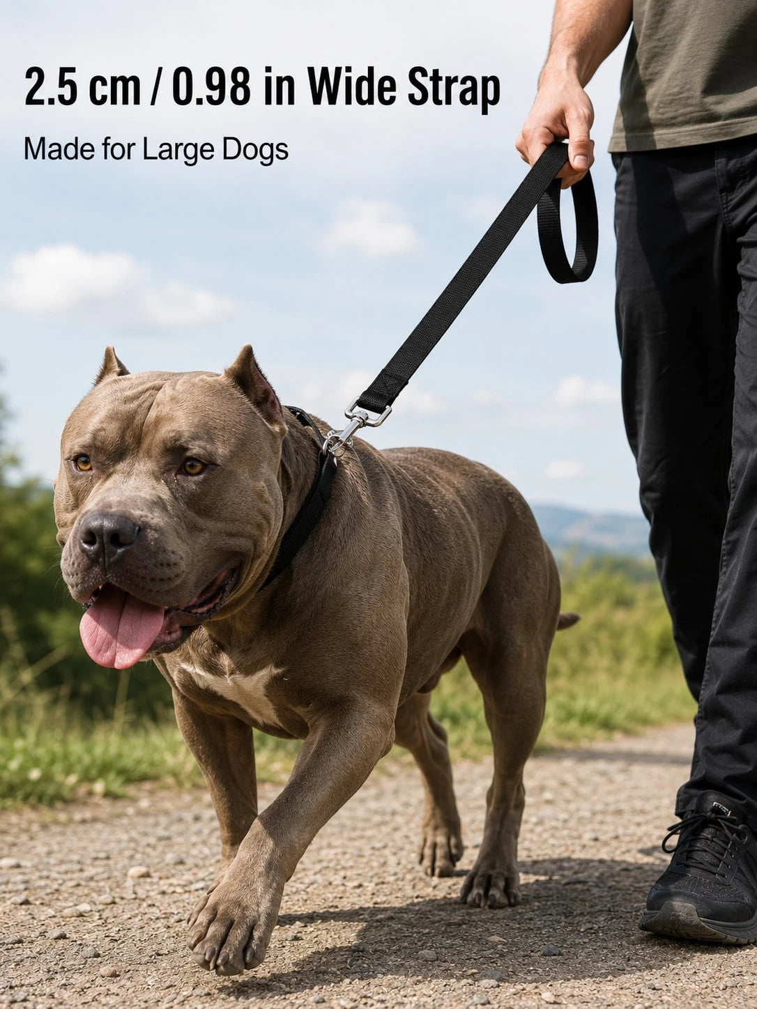 Long Dog Training Leash 3m–10m | Recall Lead for Outdoor Training
