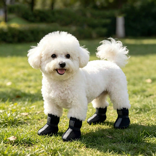 4pcs Breathable Dog Shoes | Anti-Slip Reflective Pet Boots