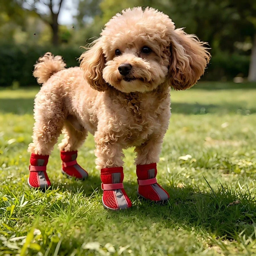 4pcs Breathable Dog Shoes | Anti-Slip Reflective Pet Boots