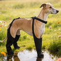 Adjustable Waterproof Dog Boots | Non-Slip Paw Protectors for Pets