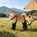 Adjustable Waterproof Dog Boots | Non-Slip Paw Protectors for Pets