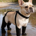 Adjustable Waterproof Dog Boots | Non-Slip Paw Protectors for Pets
