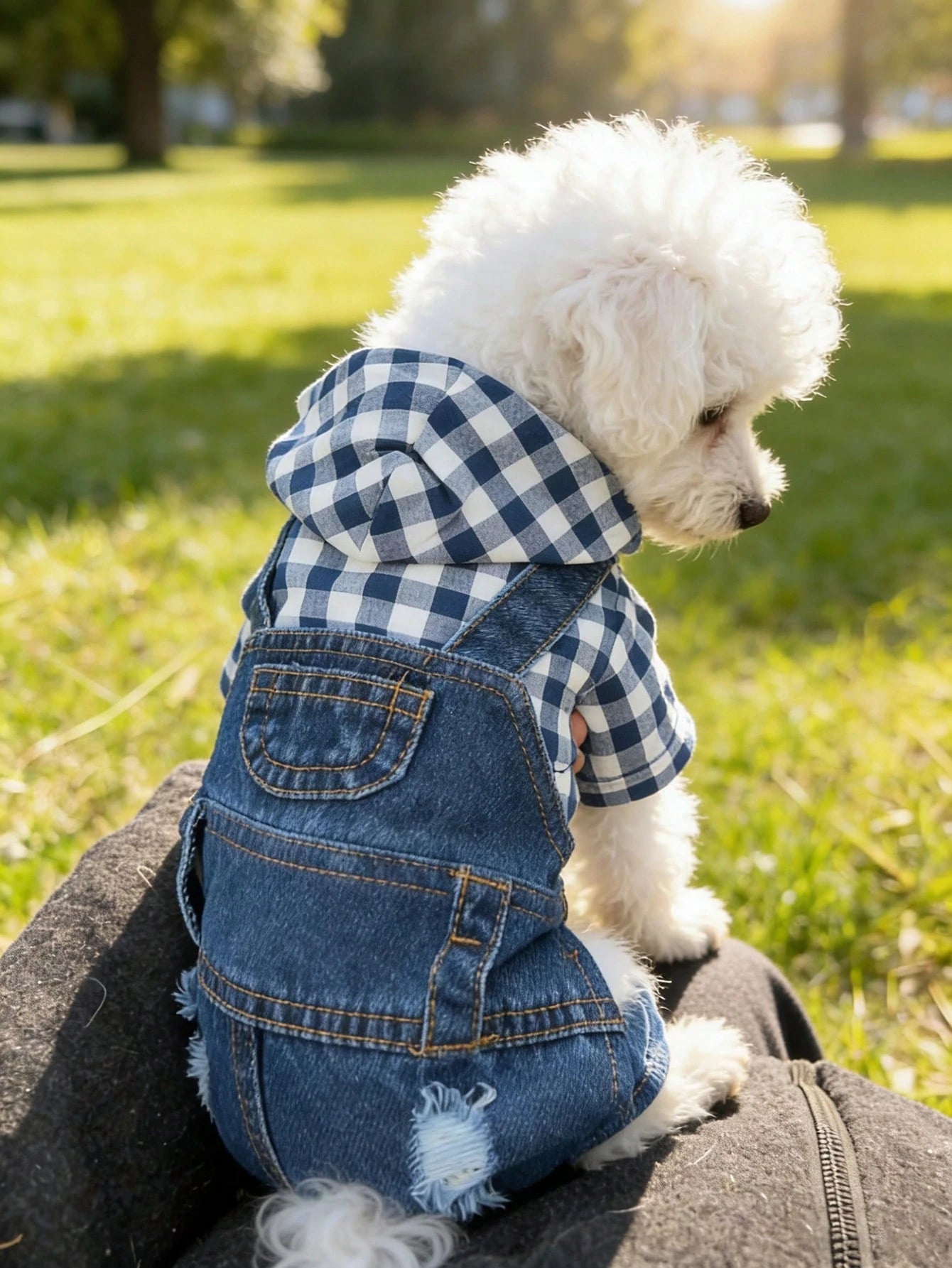 Striped Dog Denim Overall Jumpsuit | 4-Leg Pet Outfit for Small Dogs