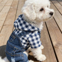 Striped Dog Denim Overall Jumpsuit | 4-Leg Pet Outfit for Small Dogs