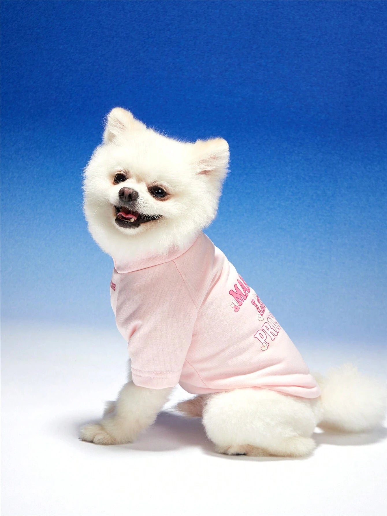 Pink Pet Hoodie for Cats & Dogs | Cute Letter Print Hoodie