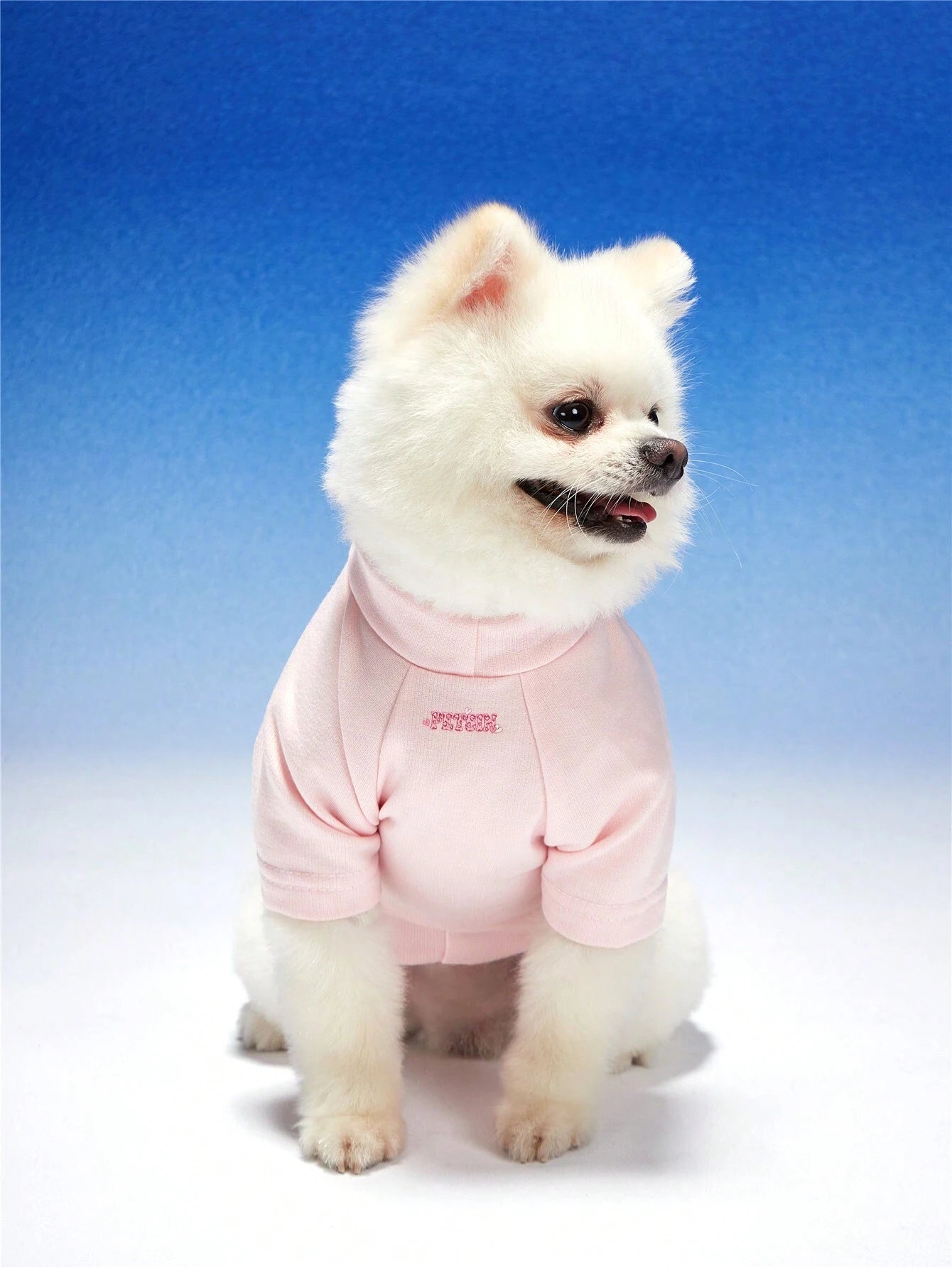 Pink Pet Hoodie for Cats & Dogs | Cute Letter Print Hoodie