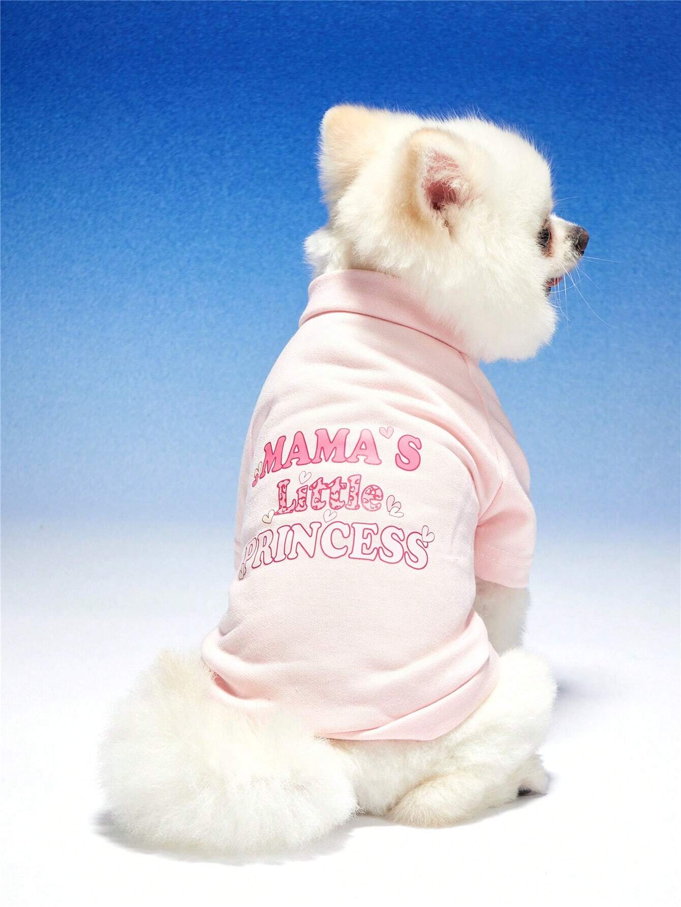 Pink Pet Hoodie for Cats & Dogs | Cute Letter Print Hoodie