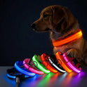 LED Adjustable Pet Collar for Cats & Dogs | Glow Safety Collar