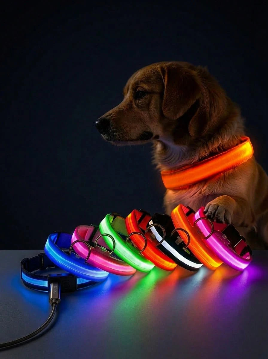 LED Adjustable Pet Collar for Cats & Dogs | Glow Safety Collar