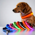 LED Adjustable Pet Collar for Cats & Dogs | Glow Safety Collar