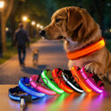 LED Adjustable Pet Collar for Cats & Dogs | Glow Safety Collar