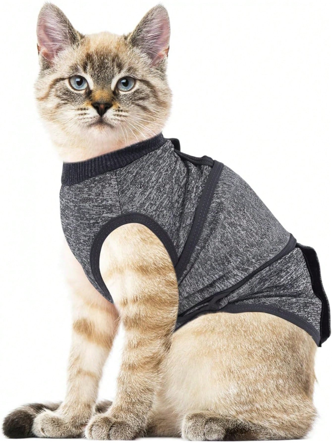 Pet Recovery Suit for Dogs & Cats | Adjustable Surgery Wrap